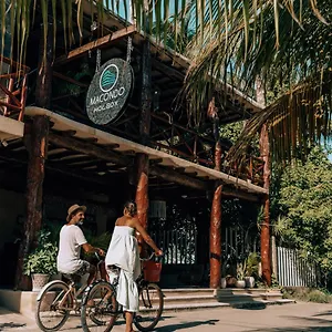 Macondo Holbox