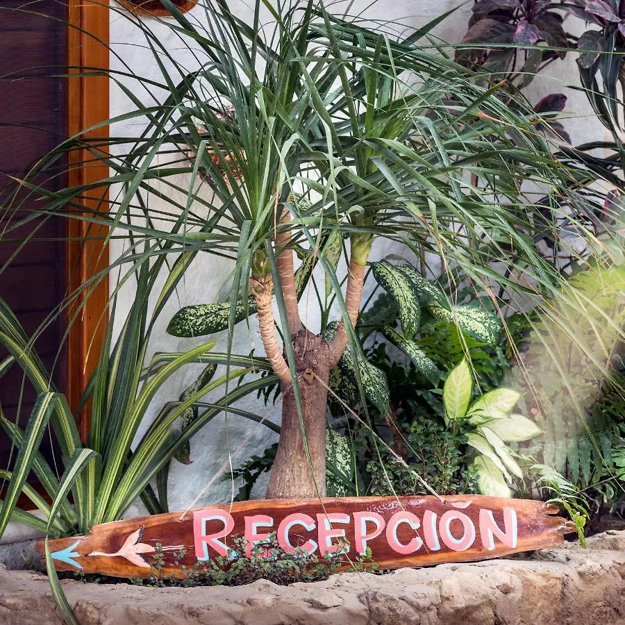 Mawimbi Boutique Hotel Ilha Holbox 0*,